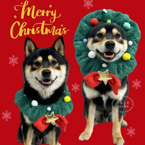  X^C T^ giJC NX}Xc[ RXv ybgpi ybgEFA ybg|` c[Ȃ肫 p Lp NX}X RXv c[ L ybg hbOEFA 