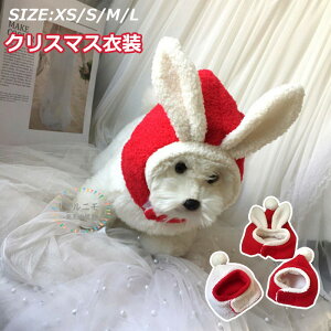 ybgXq T^Xq LpRXv ybg 蕨 jbgXq T^N[X T^ RXv L  NX}X H~ h LpEBbO L蕨 ybgRXv Lbv Lp X