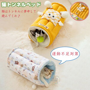 gl Lxbh ybgxbh  Lbggl ybgNbV ӂӂ LV ^s΍ ܂肽݉\ 􂢉\ ^  ^LpnEX  NbV