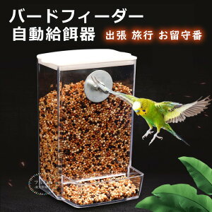 o[htB[_[ pt[htB[_[ a a CR e a a@ a^ eLbg   a H H׊k̖h~  a@  o