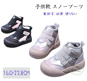 qC N V[gu[c Xm[u[c LbY q hC ~pu[c [gu[c LbY ̎q }WbNe[v ȌC EB^[u[c WjA h Ȃ h΍ V 