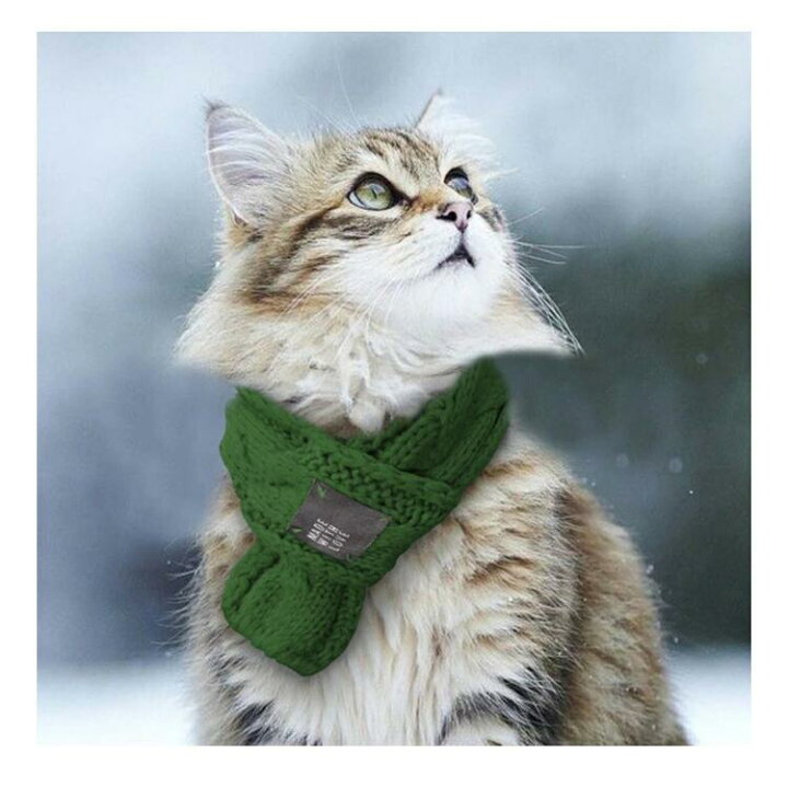 楽天市場 クーポン利用で10 Off 犬 マフラー 服 冬 犬用 猫用 ペット服 冬物 犬服 ドッグウェア キャットウェア 猫 犬の服 ネックウォーマー ストール 動物 可愛い おしゃれ かわいい あったか 暖かい 防寒 小型犬 中型犬 散歩 無地 ペット用品 クリスマス