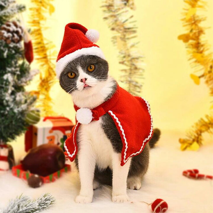 楽天市場 クーポン利用で30 Off クリスマス 衣装 犬 猫 服 ペット服 サンタ トナカイ コスプレ ドッグウェア キャットウェア ねこ 犬の服 猫の洋服 冬 可愛い かわいい おしゃれ 帽子付き 小型 中型 散歩 コスチューム 着ぐるみ 犬服 猫服 犬用品 猫用品 仮装 変装