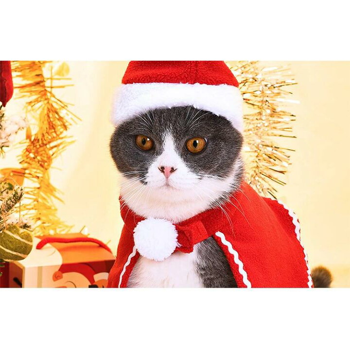 楽天市場 クーポン利用で30 Off クリスマス 衣装 犬 猫 服 ペット服 サンタ トナカイ コスプレ ドッグウェア キャットウェア ねこ 犬の服 猫の洋服 冬 可愛い かわいい おしゃれ 帽子付き 小型 中型 散歩 コスチューム 着ぐるみ 犬服 猫服 犬用品 猫用品 仮装 変装 楽天市場 クーポン利用で30 Off クリスマス 衣装 犬 猫 服 ペット服 サンタ トナカイ コスプレ ドッグウェア キャットウェア ねこ 犬の服 猫の洋服 冬 可愛い かわいい おしゃれ 帽子付き 小型 中型 散歩 コスチューム 着ぐるみ 犬服 猫服 犬用品 猫用品 仮装 変装