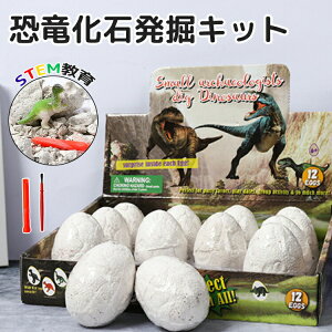 化石 セット 知育玩具の人気商品 通販 価格比較 価格 Com