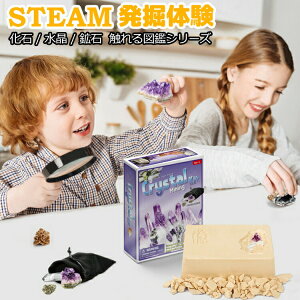 化石 セット 知育玩具の人気商品 通販 価格比較 価格 Com