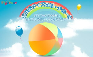 FlyCreat r[` {[ V r[`{[ r[`{[ r[`   a80cm 傫 r[`ObY r[`o[yCOʔ́z