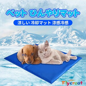  }bg ybgN[}bg p}bg 40×30cm ⊴~pbh wvX\ KybgACX}bg  O  Ő r[` sΉyCOʔ́z