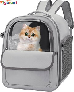 y3WAY}`L[zybgp bN^ ^ obO y ܂肽݉\ L ^  ΉyCOʔ́z