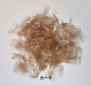 CANAL@Li@X[CDC&pt0.5g