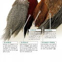 メッツ METZネックハックル METZ Cock Neck Hackle