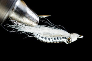 NCW[`[[@zCg@CRAZY CHARILE - WHITE