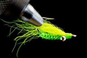 NCW[`[[@`[g[X@CRAZY CHARILE CHAR