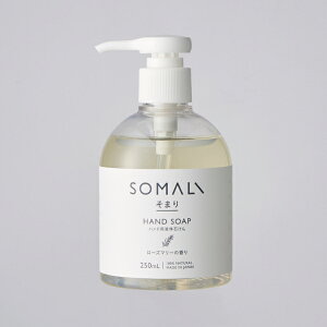 ؑΌ@SOMALI(܂/\})@nh\[vi[Y}[j@VRf100%@{yRCPzyXΉiz