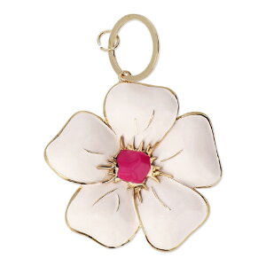 ytCO^CK[zL[z_[    t[ V Xgbv 킢  k