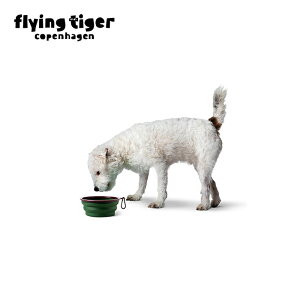 ytCO^CK[zybgpgу{E ܂肽 g h s ^ a  L AEghA ֗ k