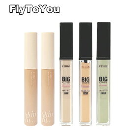 etude house エチュードハウス ビッグカバースキンフィットコンシーラーpro 7g クマ隠し リキッドコンシーラー 単品 韓国コスメ 正規品