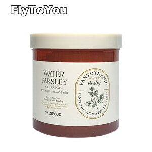 skinfood XLt[h pgeEH[^[pZNApbh 60 250g XLPApbh Pi ؍RX Ki