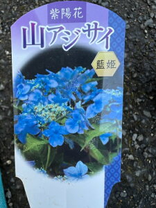 R@P@4|bg[u[̉Ԃił dKN炫iBႢsAtԎтт܂yAWTCzyR쑐z@ϊt