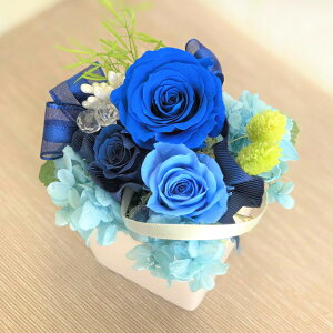 vU[uht[@AWg@Iׂ7F @t[ Mtg