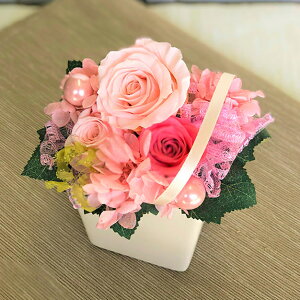 vU[uht[AWg@Iׂ7F t[ Mtg