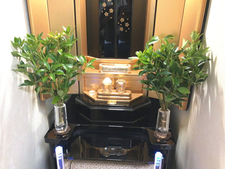 楽天市場 2本 しきみ 根付き 2本セット 一対 生花 切り花 おしきみ おしきび シキミ シキビ 樒 お供え お悔やみ 仏壇 枝物 彼岸 墓花 墓参り 仏前草 香木 切花 盆 ファーム フローラル 楽天市場 2本 しきみ 根付き 2本セット 一対 生花 切り花 おしきみ おしきび シキミ シキビ 樒 お供え お悔やみ 仏壇 枝物 彼岸 墓花 墓参り 仏前草 香木 切花 盆 ファーム フローラル