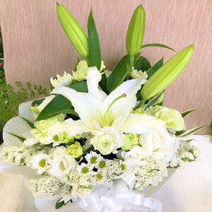   ̉Ԃ݉ Mtg  䋟  AWg  ԑ  AW    @     @v ybg 