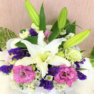   ̉Ԃ݉ Mtg  䋟  AWg  ԑ  AW    @     @v ybg 