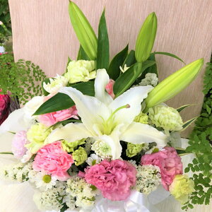   ̉Ԃ݉ Mtg  䋟  AWg  ԑ  AW    @     @v ybg 