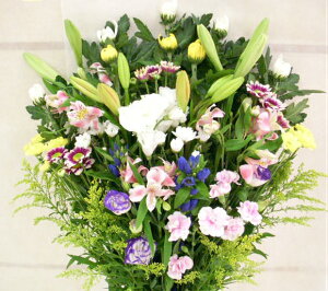   ̉Ԃ݉ Mtg  䋟  AWg  ԑ  AW    @     @v ybg 