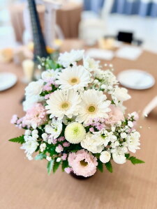   Mtg AWgiSTCYjԂ̓e͂܂ 䋟 ybg    @    @v ybg 