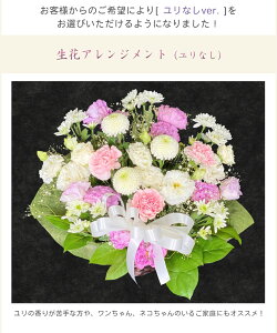   ̉Ԃ݉ Mtg  䋟  AWg  ԑ  AW    @     @v ybg 