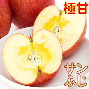    󂠂 Ε Tӂ3L ÖE_EOqlCiw Tӂ xt[c̋ɊÃSI3L