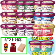 ハーゲンダッツ ダブル セット ギフト アイス おまけ スイーツ お菓子 冷凍 プレゼント おやつ ご褒美 詰…