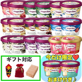 ハーゲンダッツ ダブル セット スイーツ お菓子 冷凍 プレゼント ギフト おやつ ご褒美 詰め合わせ 期間限定 アイス クリーム 熨斗 ラッピング 包装 誕生日 お祝い お中元 お歳暮 送料無料 母の日 父の日 業務用 まとめ買い