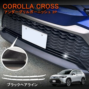 yԌI[vLOZ[zJ[NX 10n A_[OK[jbV 2P ubNwAC tgO JX^ p[c O hXAbv XeX304 A_[O 