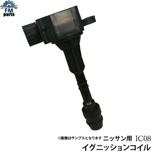 yzvT[W PU31 PNU31 Y COjbVRC IC08͑864~