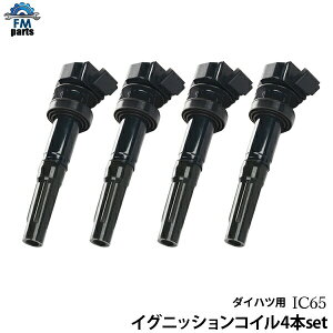 �R�y�� L880K �C�O�j�b�V�����R�C�� 4�{�Z�b�g IC65������͑���864�~