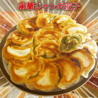 佐野 ラーメン 有名店 「永華」のジャンボ 餃子 ｜ 餃子 冷凍 でかい ギョウザ ぎょうざ ボリューム満点 …