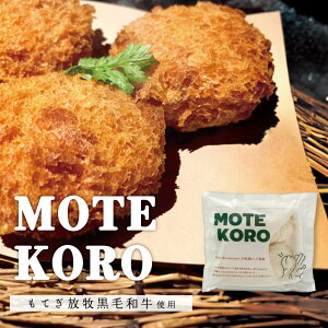 MOTEKORO јaRbP 4 b eR Ȗ،Yi Ζؒ Ăqјa nO  O yY ƈ  g邾 ⓀHi