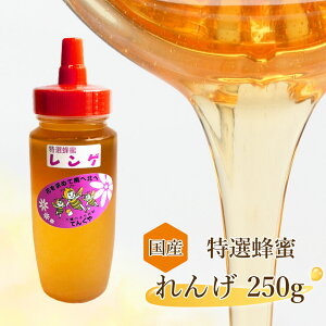 国産 特選はちみつ レンゲ 250g 1本 | 栃木県産品 佐野市 天狗屋養蜂店 国産 純粋蜂蜜 はちみつ HONEY れんげ 無加工 非加熱 スイーツ ドリンク 朝食 料理 とんがり容器