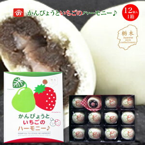 ҂傤Ƃ̃n[j[ 12 1 b {B Ȗ،ւ Yʓ{̓YiR{ XC[c Ȗ؂̂ƓȖ؂̊Z܂񂶂イŃhbLO H@ۂƃr^~C