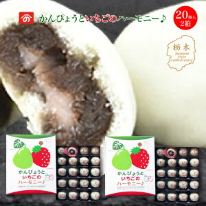 ҂傤Ƃ̃n[j[ 20 2 b {B Ȗ،ւ Yʓ{̓YiR{ XC[c Ȗ؂̂ƓȖ؂̊Z܂񂶂イŃhbLO H@ۂƃr^~C