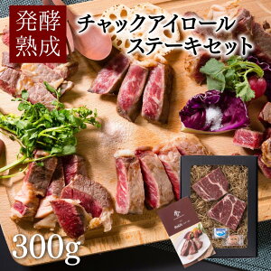 yn `bNAC[Xe[L 300gb zԂƔ ΈHi R Rs AJr[t Mtg v[g 蕨