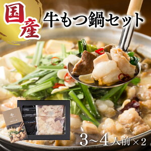 YZbgb zԂƔ ΈHi R z z EMAEӒEEncEV}`E O Mtg v[g 蕨