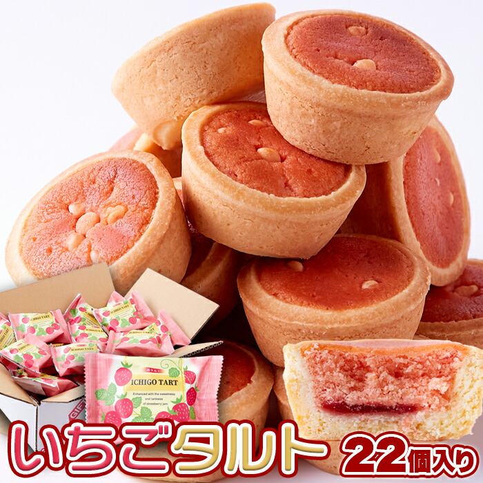 栃木県産とちおとめ100%使用！甘酸っぱい風味がお口に広がる いちご 