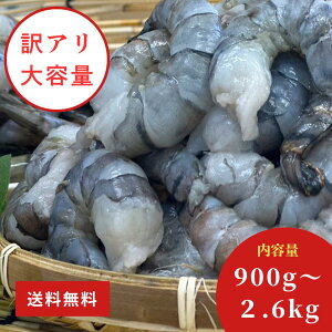 yyVX[p[Z[E10OFFzyېޕsgp I󂠂eʁzubN^CK[Iׂe | m ym A  e RXp   Gr X[p[SALE