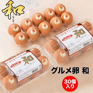 ɂTKG OaiȂ݁j30 Ԉ{{ꁄ [m {s]{sňꑱ30NA{̃GTɂ葱PEǂ d˂ĂlCił! ggbƃRN