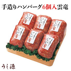 肉料理うし源 手造りハンバーグ6個入 雲竜 UG-HM6 [奈良県 宇陀市] FN0E3