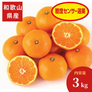 ya̎RYzgc_O݂ 3kg1iL`STCYwsjy\񏤕i 1025菇z